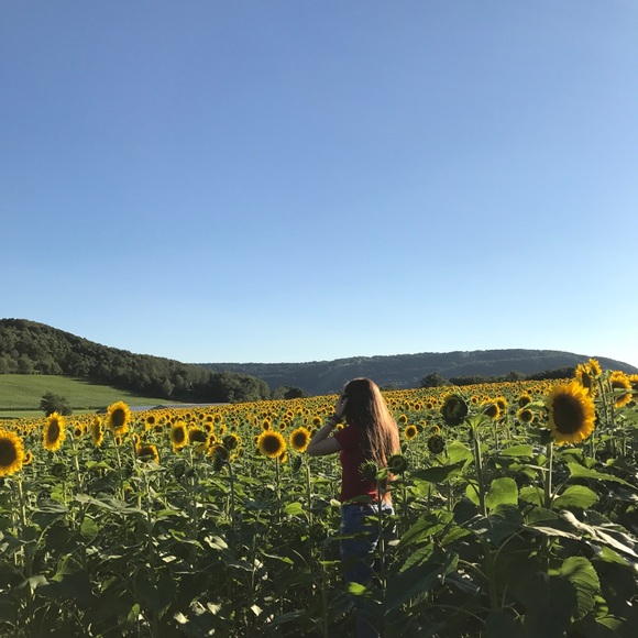 Meet your Posher, Gigi - Picture 1 of 1